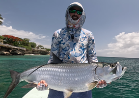 Tarpon